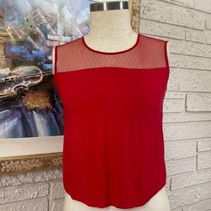 🌹Ambiance Contrast Lace Inset Neckline Top